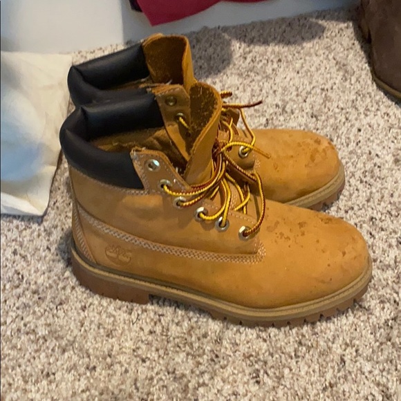 Timberlands - Picture 5 of 6